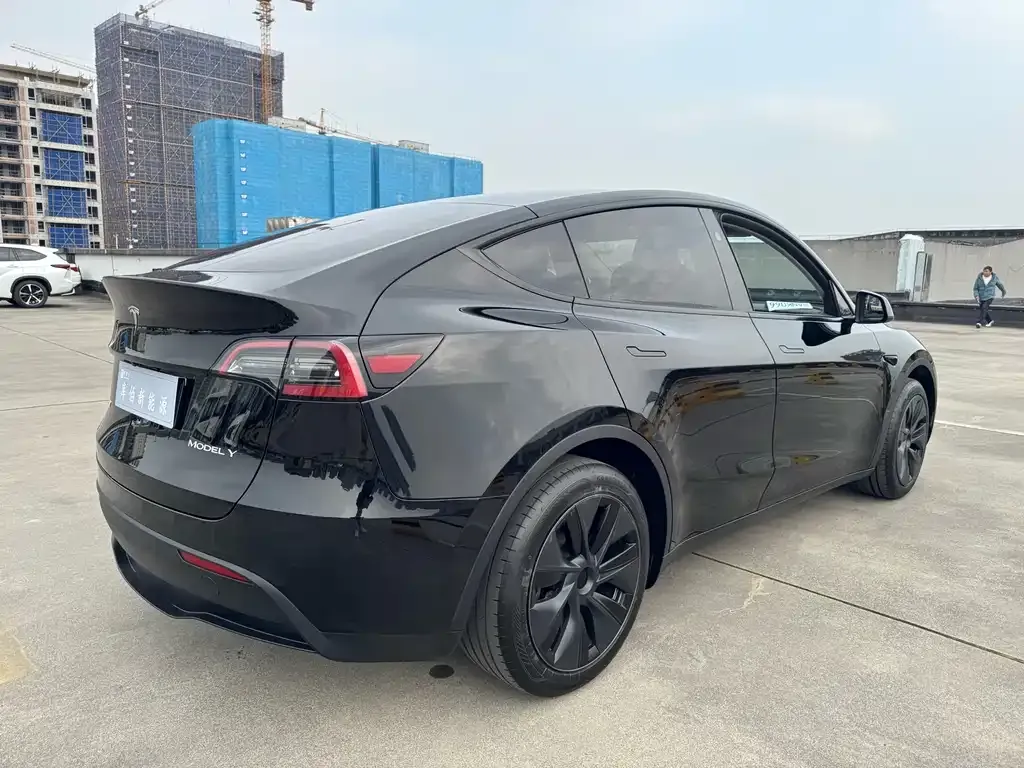 Tesla Model Y — фото 2
