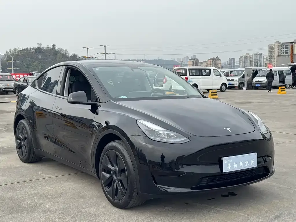 Tesla Model Y — фото 10