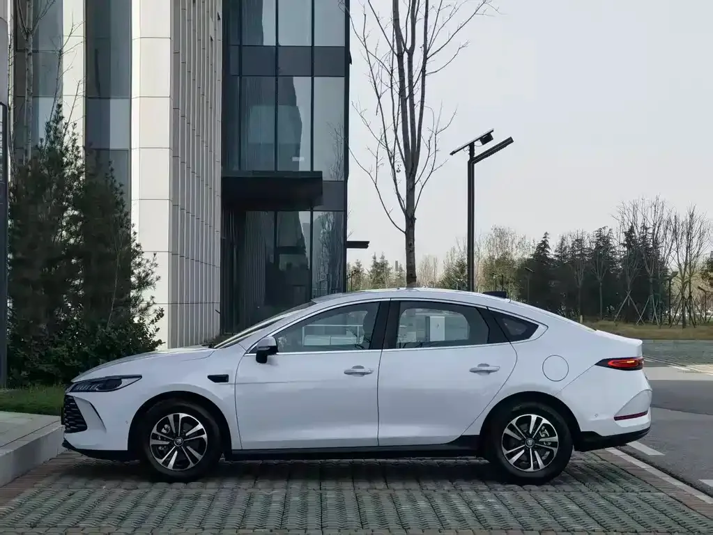 BYD Qin PLUS — фото 4