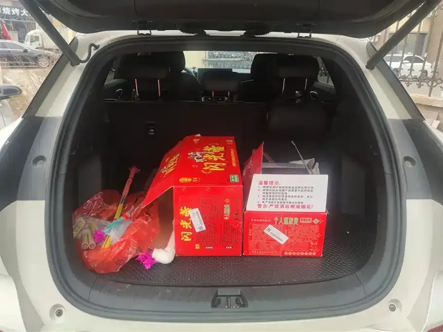 BYD Hiace 06 — фото 3