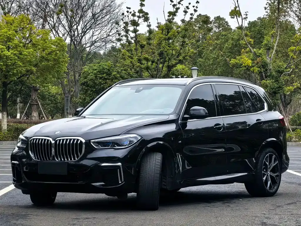 BMW X5 — фото 1