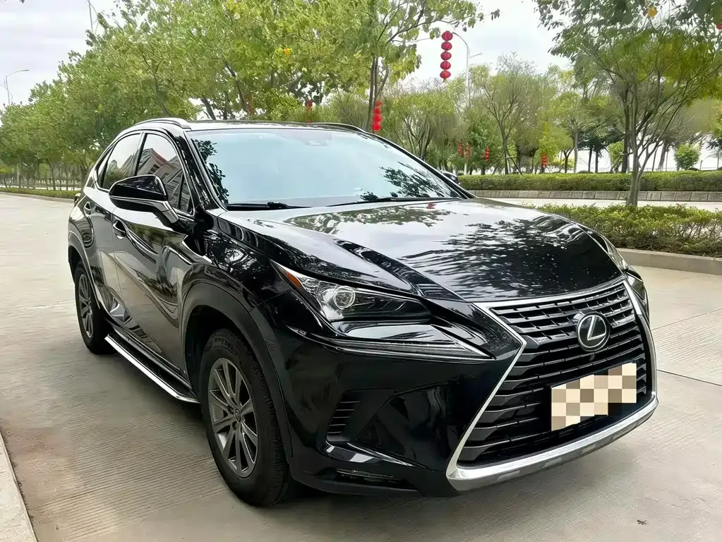 Lexus NX — фото 4