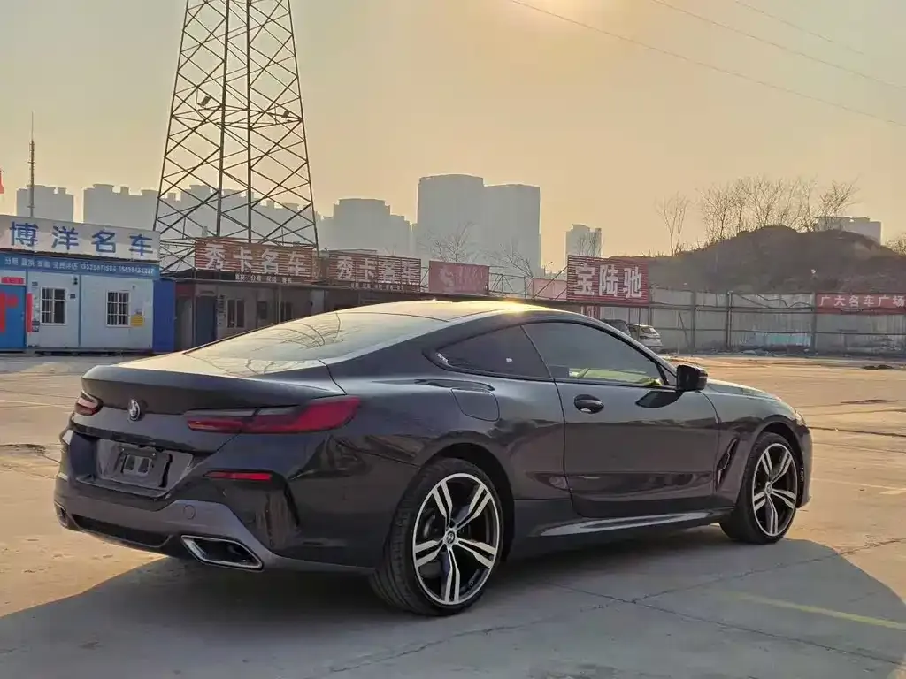 BMW 8 Series — фото 8
