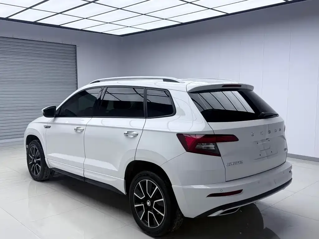 Skoda Karoq — фото 7