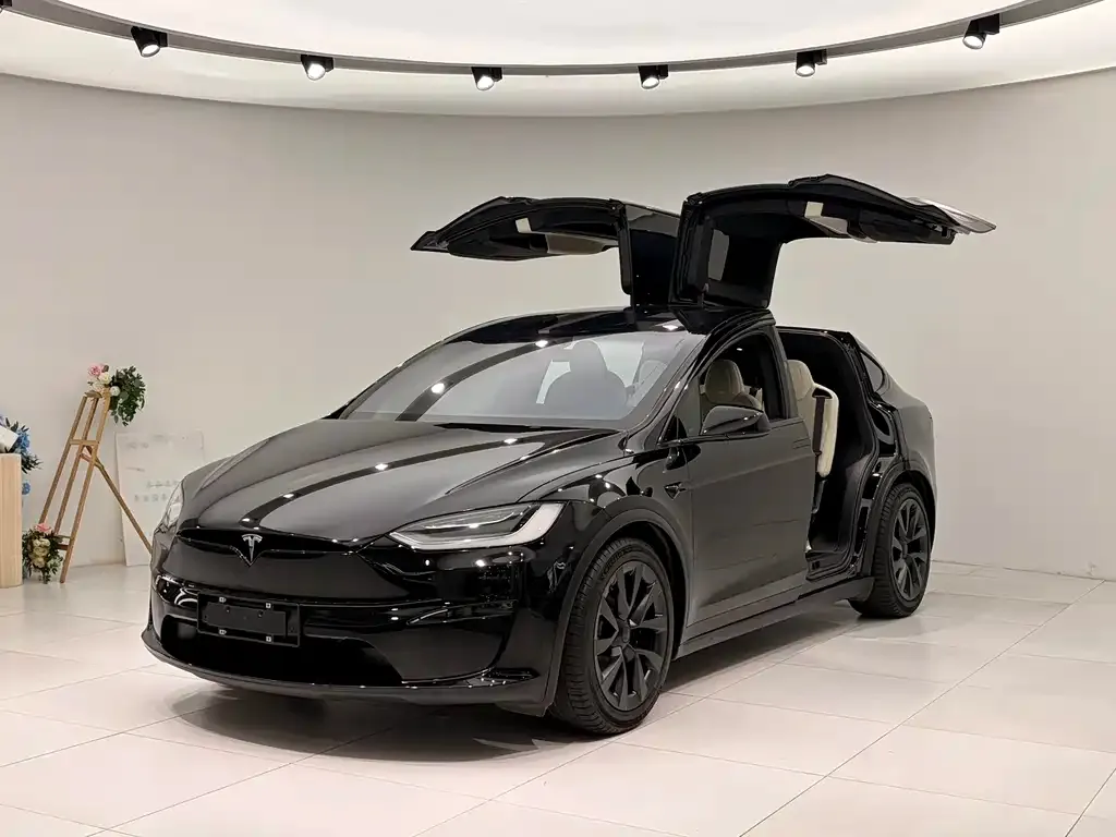 Tesla Model X — фото 1