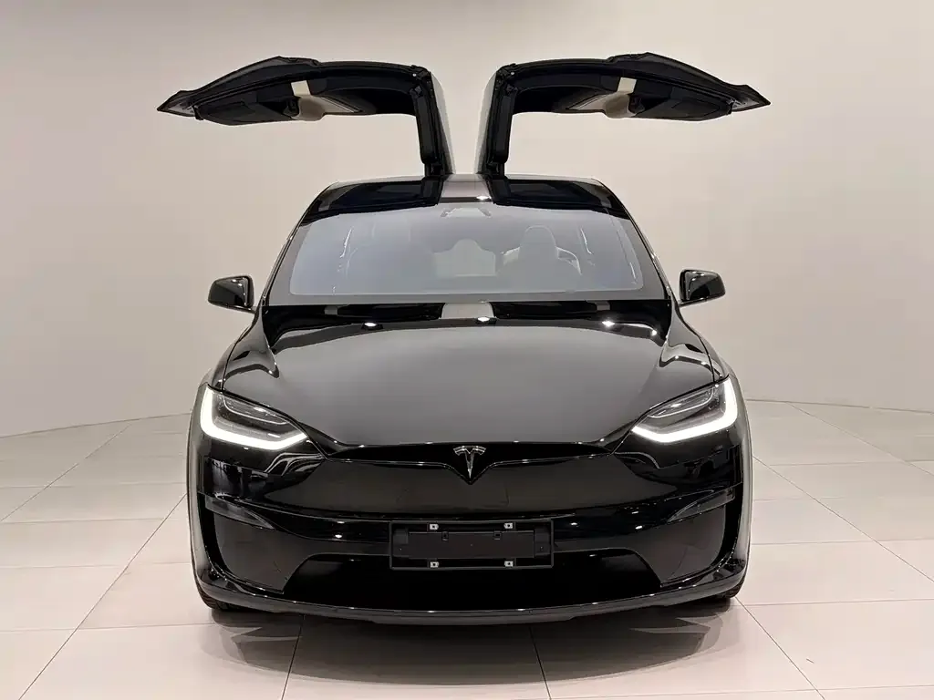 Tesla Model X — фото 8