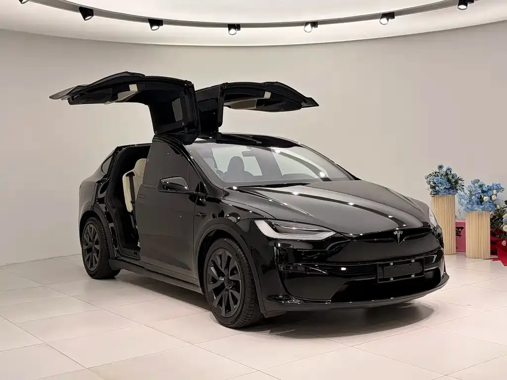 Tesla Model X — фото 2