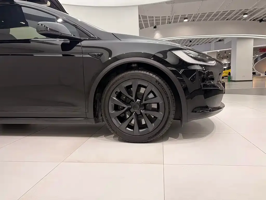 Tesla Model X — фото 3
