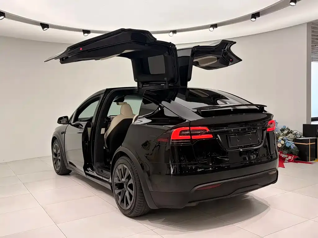 Tesla Model X — фото 7
