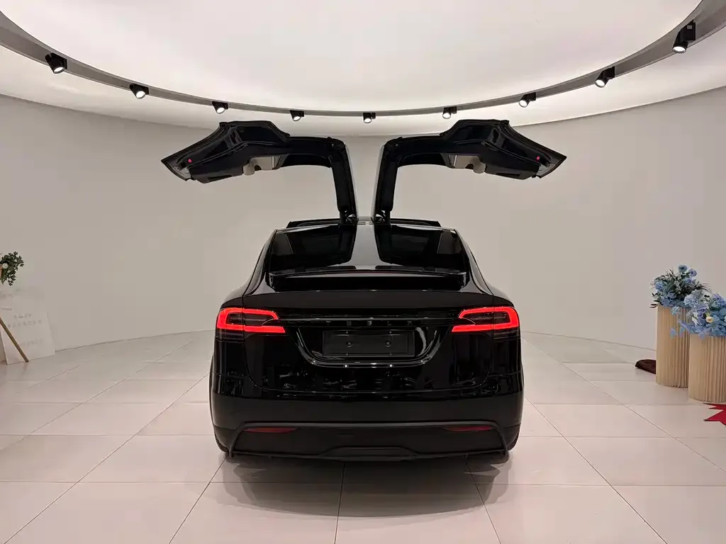Tesla Model X — фото 6