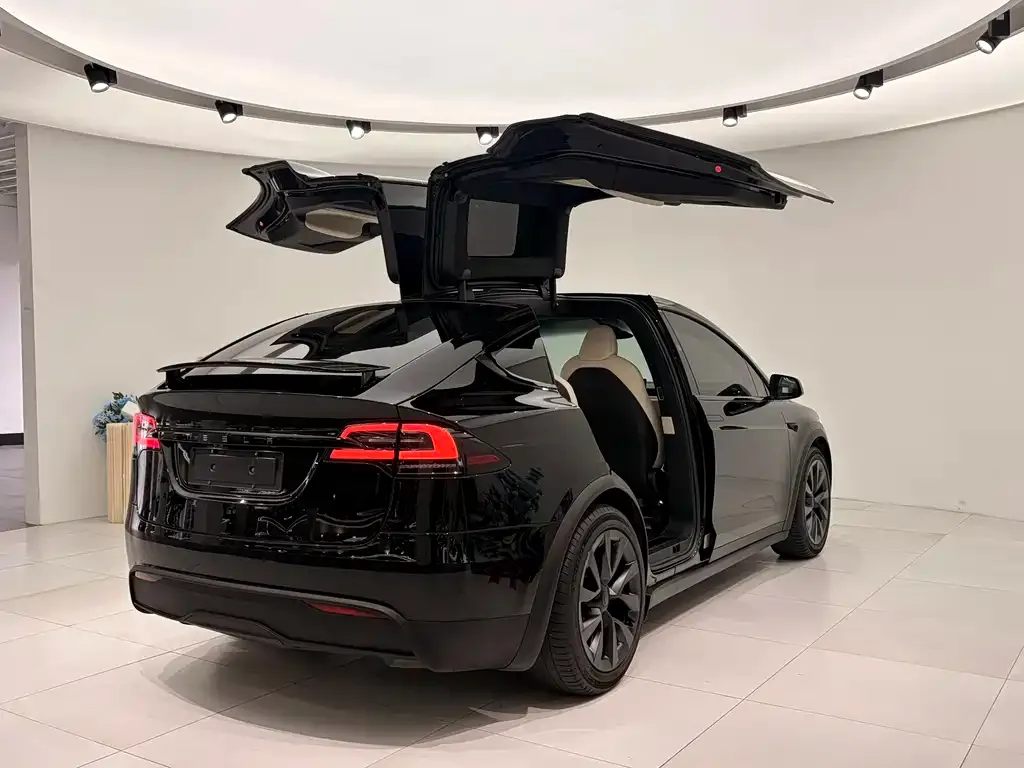 Tesla Model X — фото 4