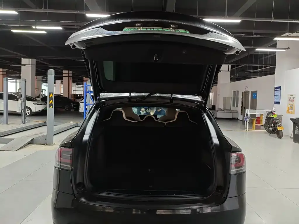 Tesla Model X — фото 9