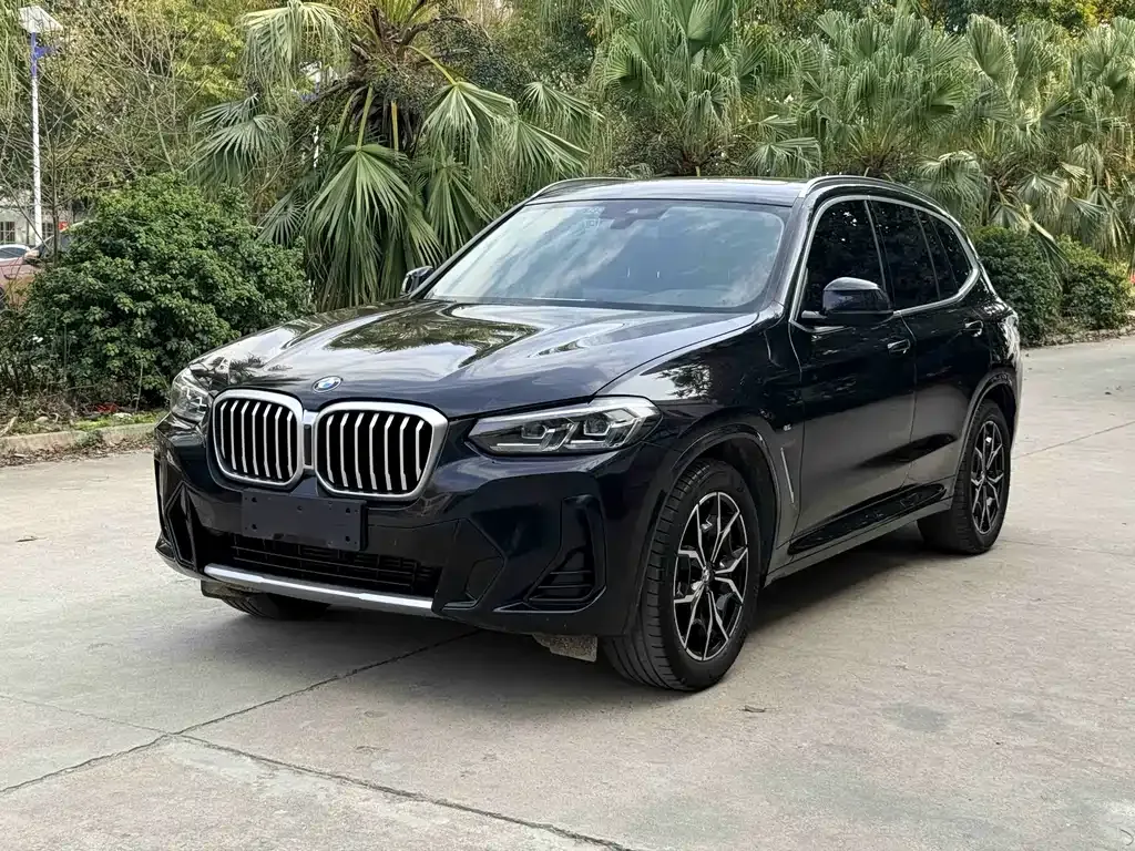 BMW X3 — фото 1