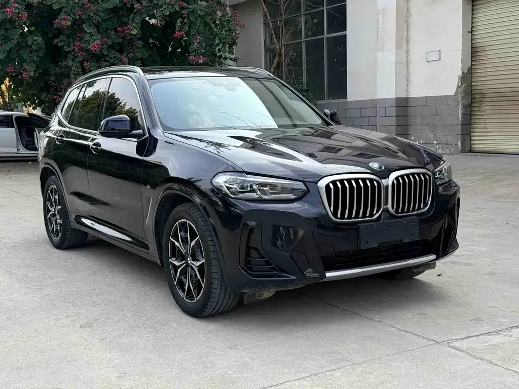 BMW X3 — фото 6