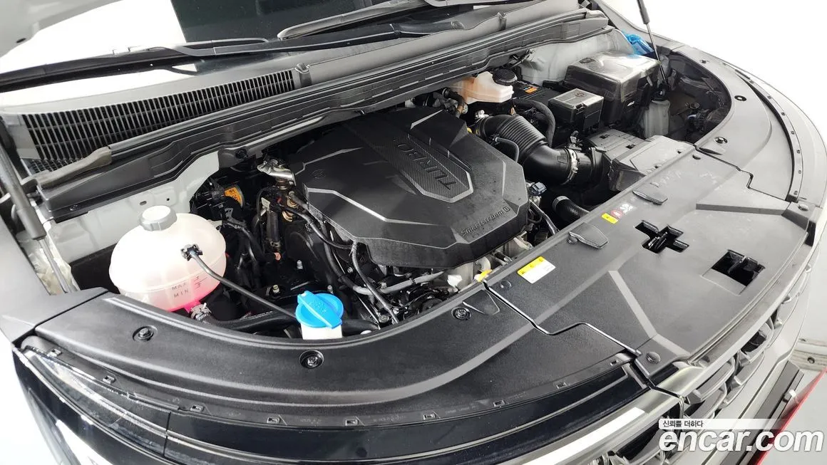 Kia Carnival — фото 10