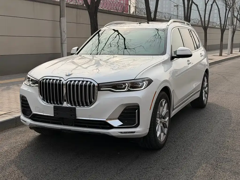 BMW X7 — фото 1