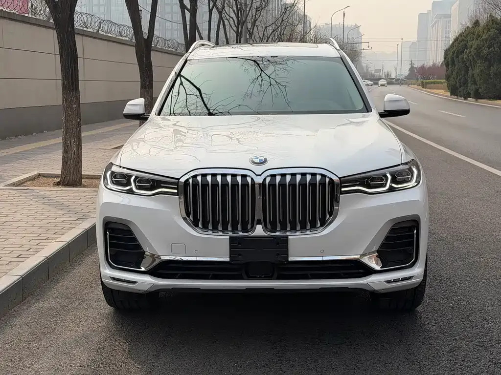 BMW X7 — фото 9