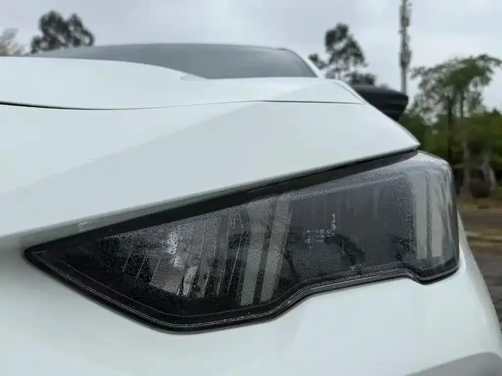 GAC Motor Shadow Leopard — фото 4