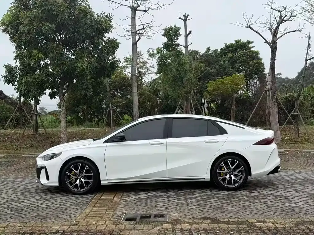 GAC Motor Shadow Leopard — фото 9