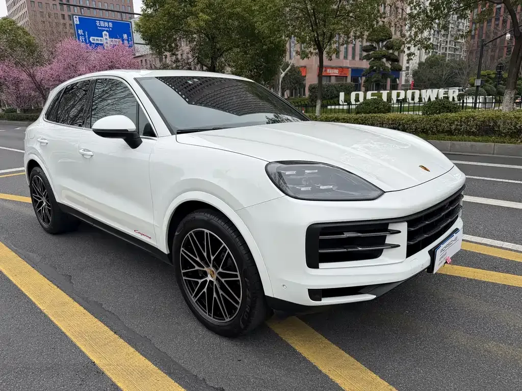 Porsche Cayenne — фото 10