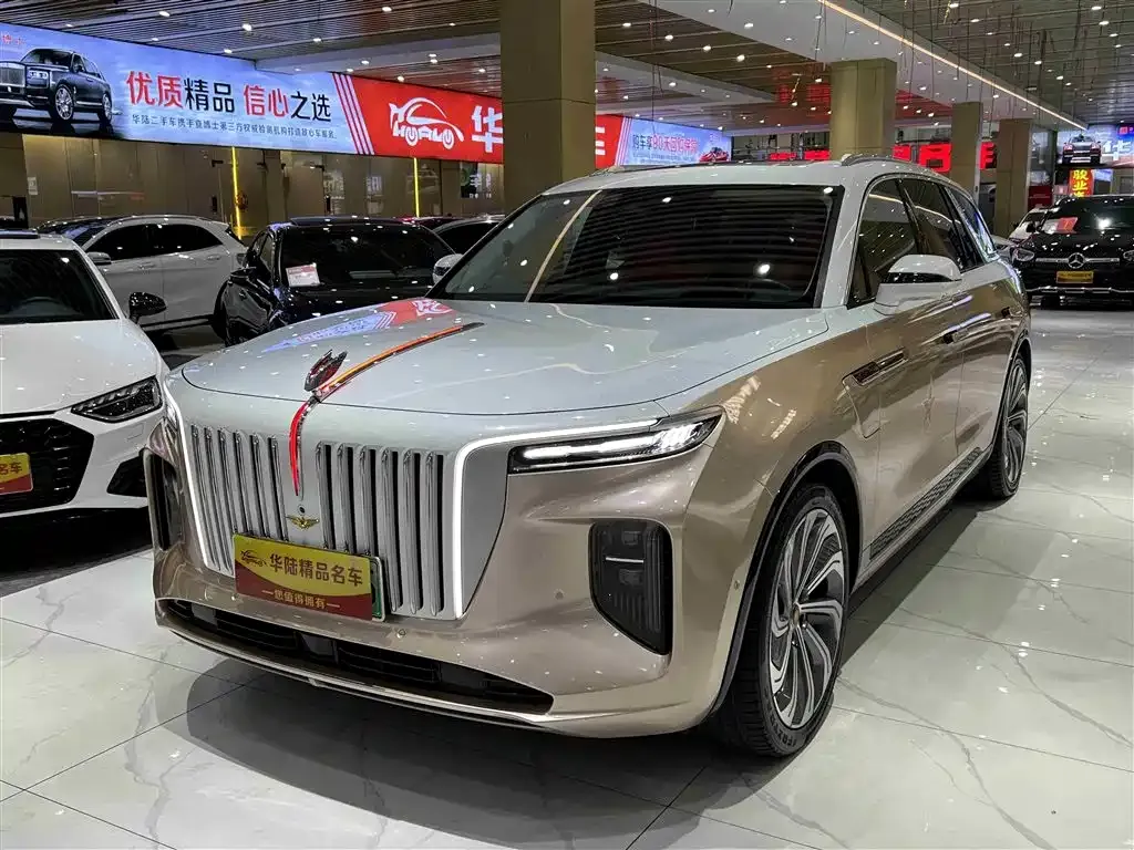 Hongqi E-HS9 — фото 1