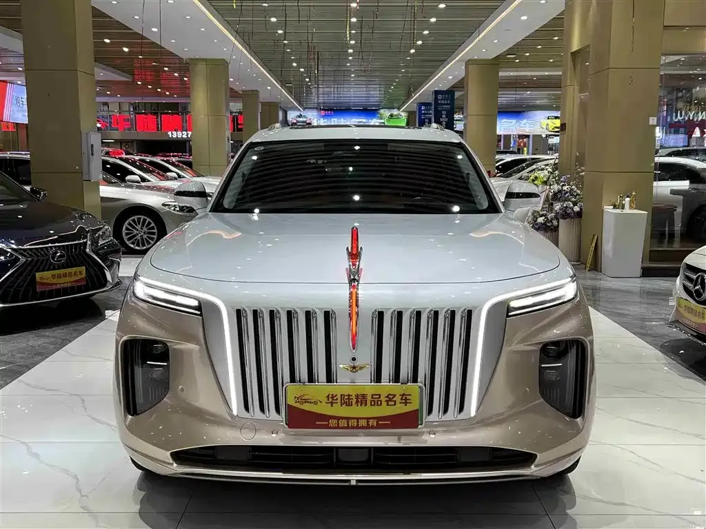 Hongqi E-HS9 — фото 8