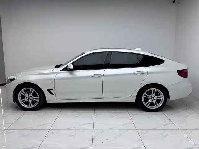 BMW 3 Series GT — фото 6