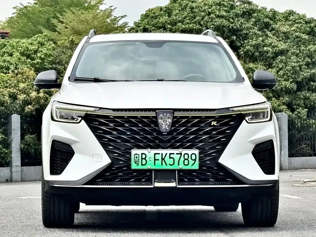 Roewe RX5 New Energy — фото 9