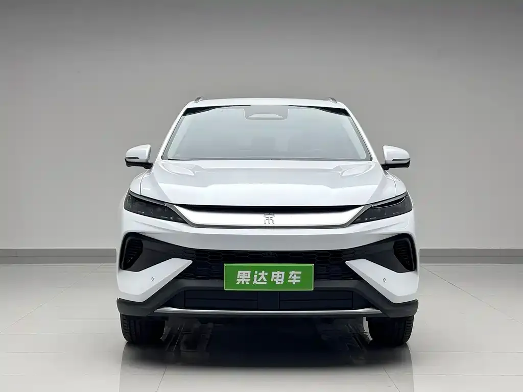 BYD Pro New Energy — фото 4