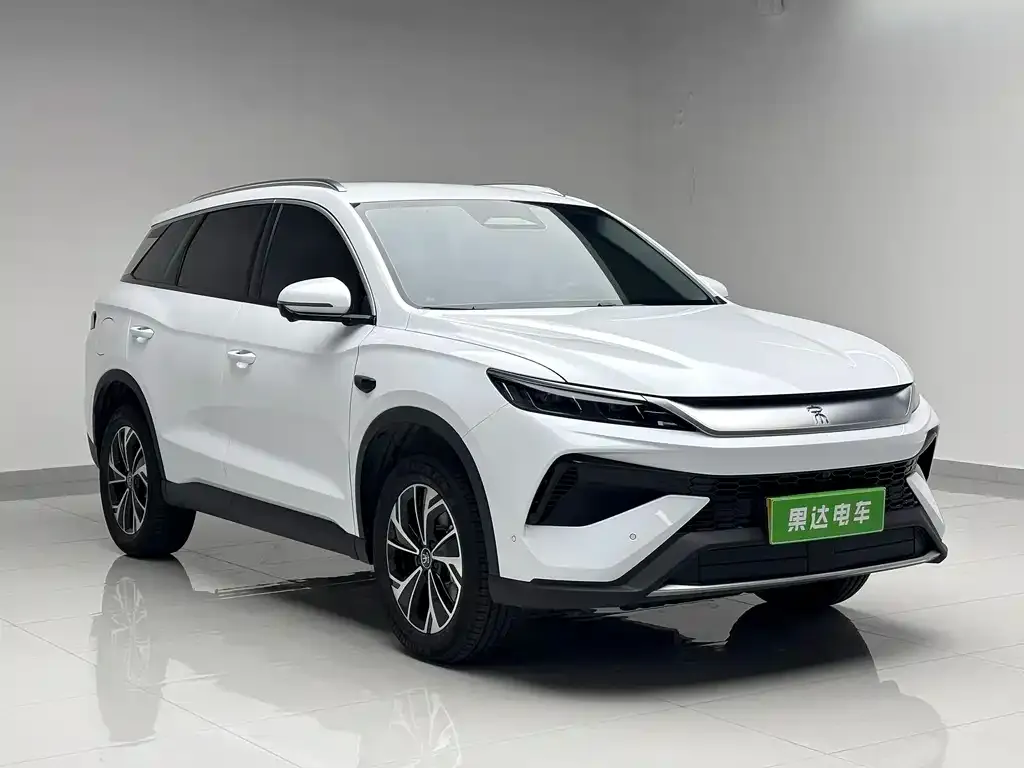 BYD Pro New Energy — фото 2