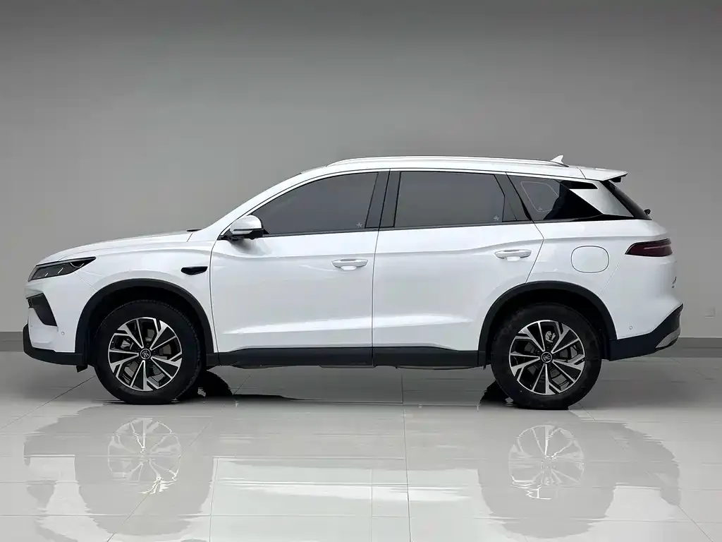 BYD Pro New Energy — фото 5