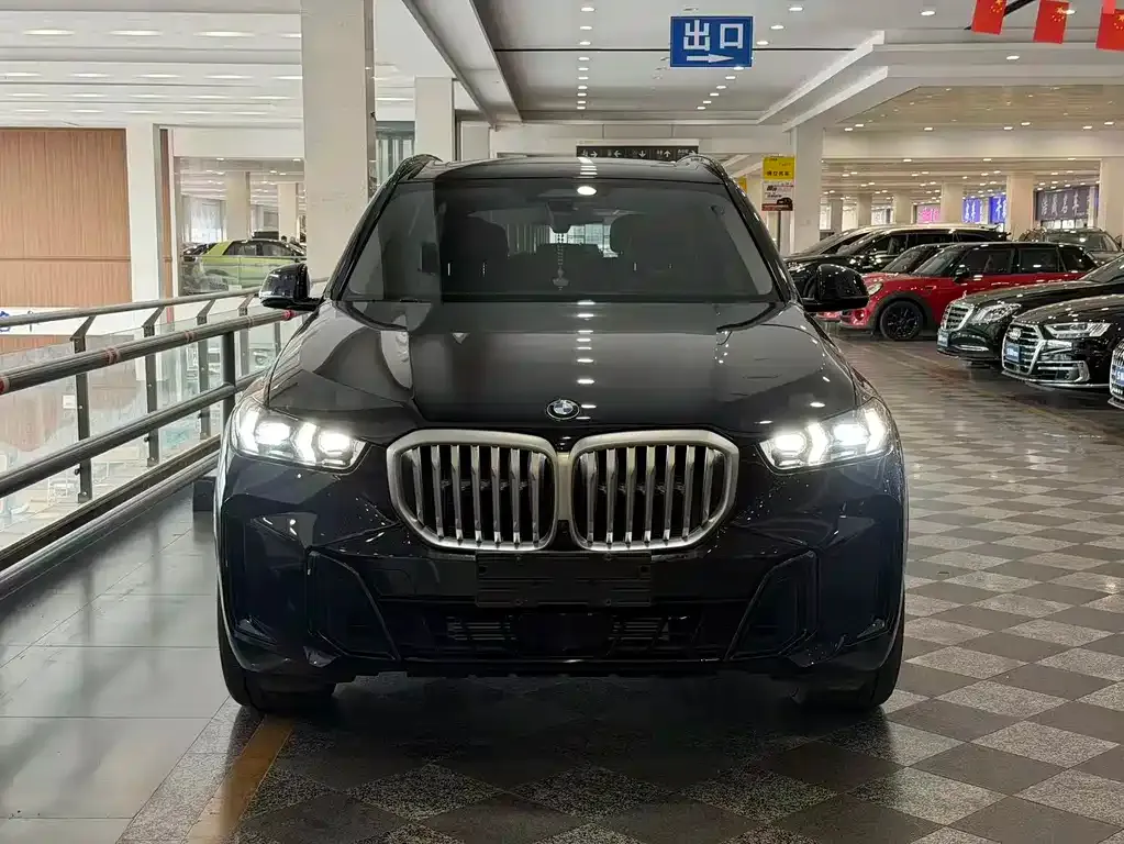 BMW X5 — фото 5