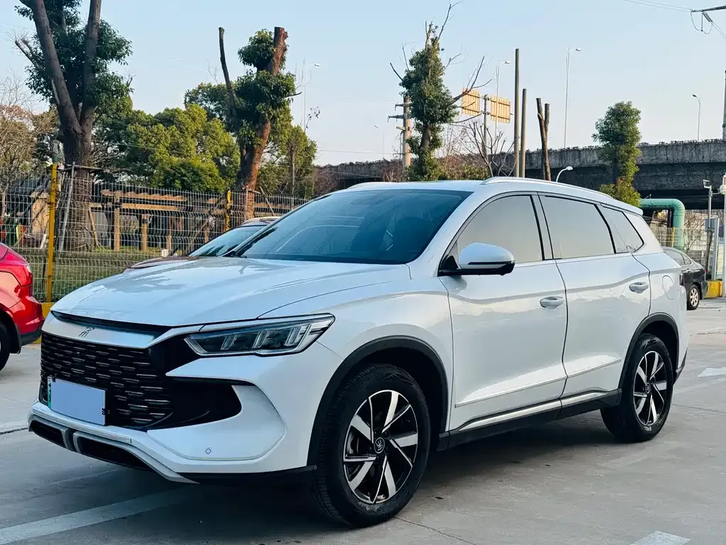 BYD Pro New Energy — фото 1