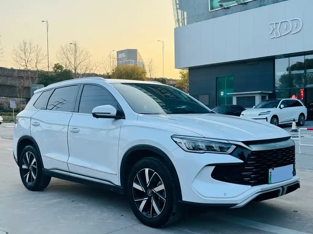 BYD Pro New Energy — фото 3