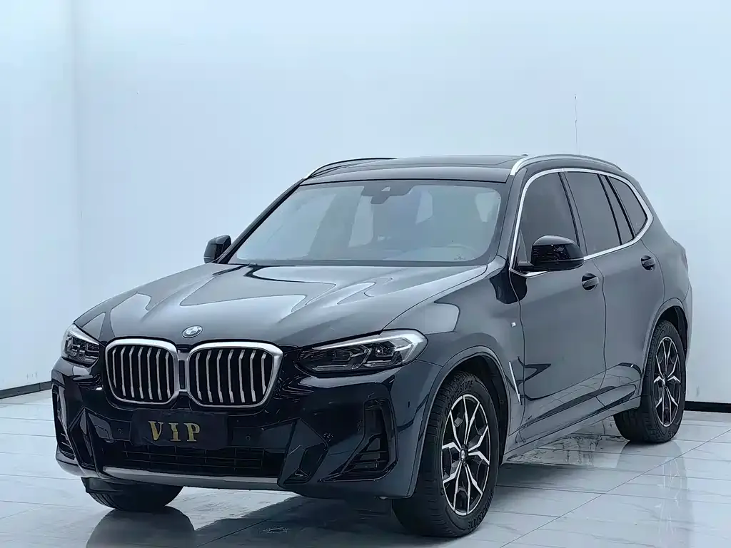 BMW X3 — фото 1