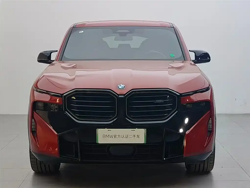 BMW XM — фото 5