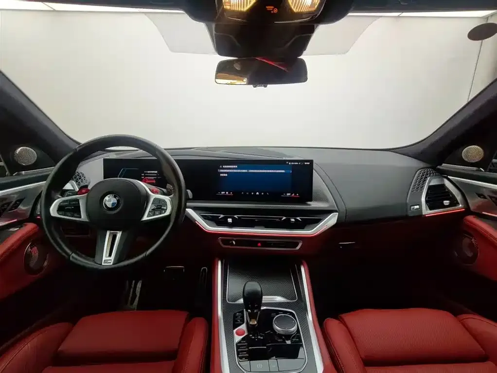 BMW XM — фото 9