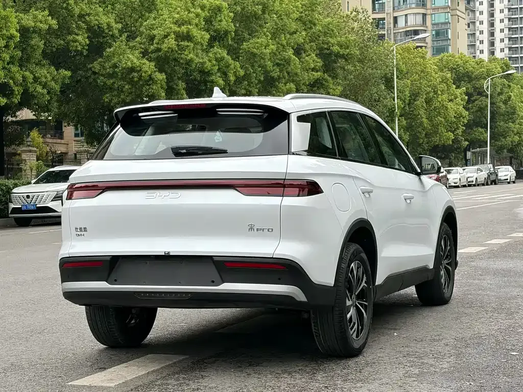 BYD L DM-i — фото 9