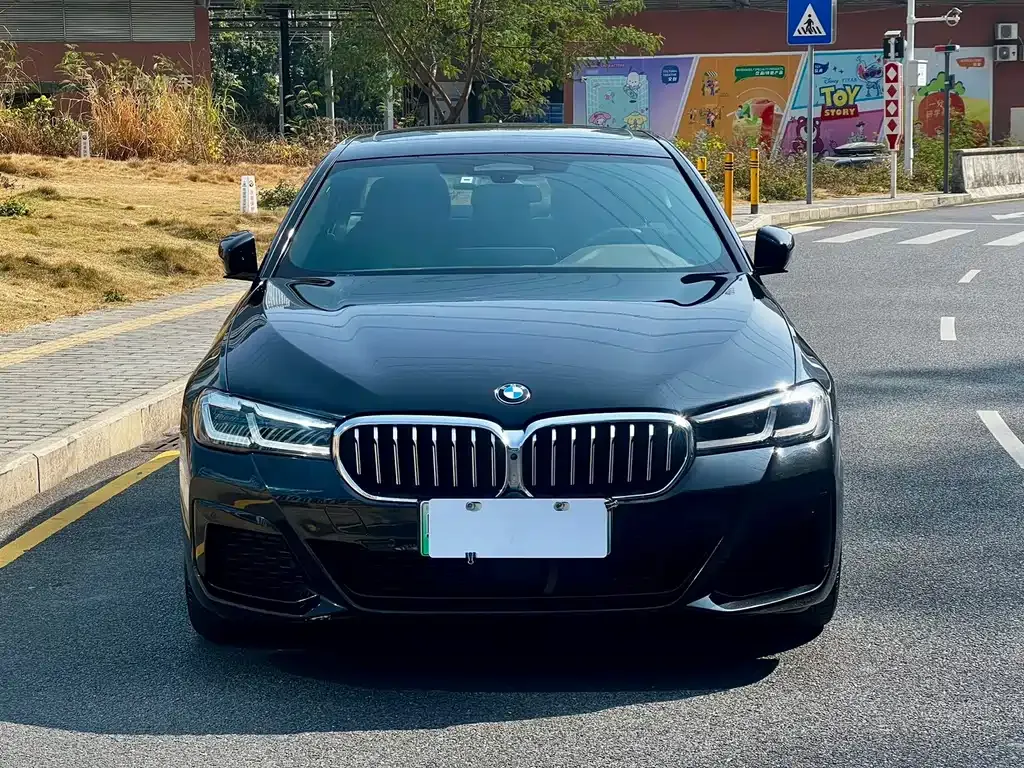 BMW 5 Series New Energy — фото 10