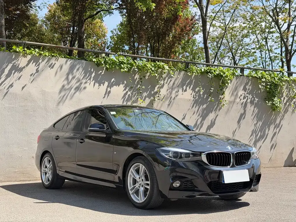 BMW 3 Series GT — фото 5