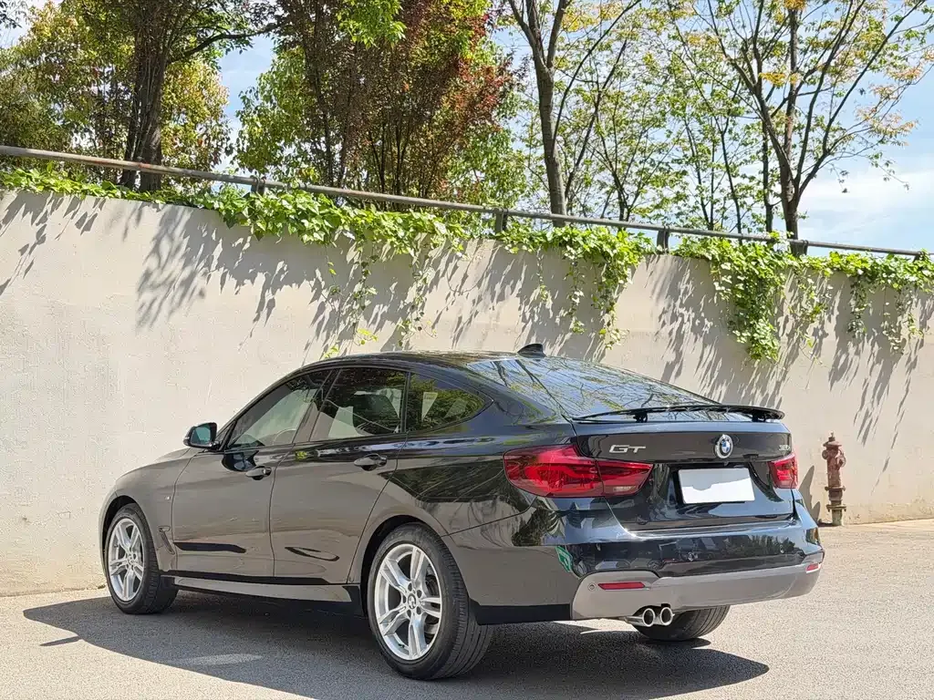 BMW 3 Series GT — фото 6