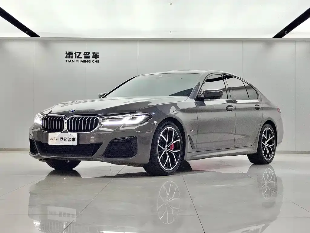 BMW 5 Series (Import) — фото 1