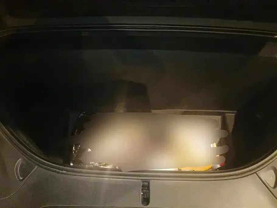 Tesla Model X — фото 10