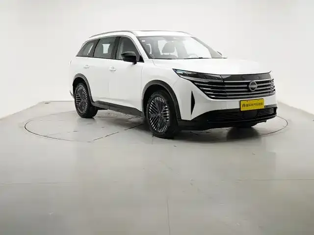 Nissan Teramont — фото 10