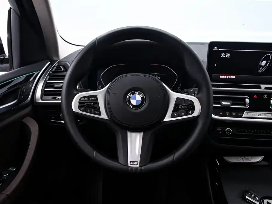 BMW X3 — фото 9