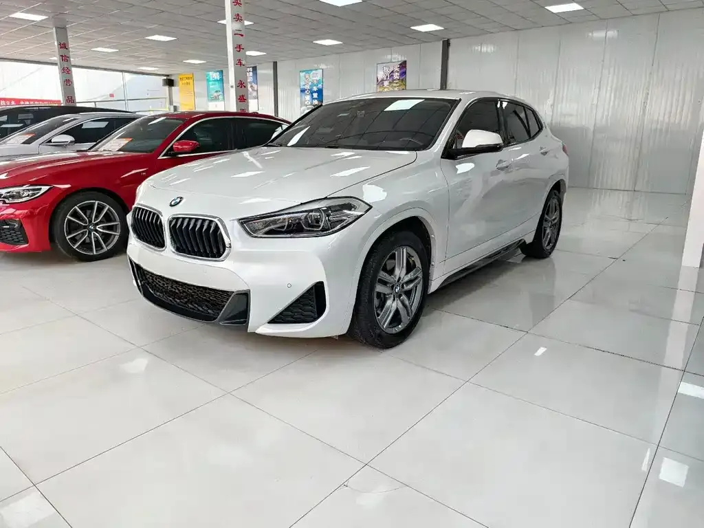 BMW X2 — фото 1