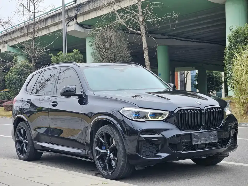 BMW X5 (Import) — фото 9