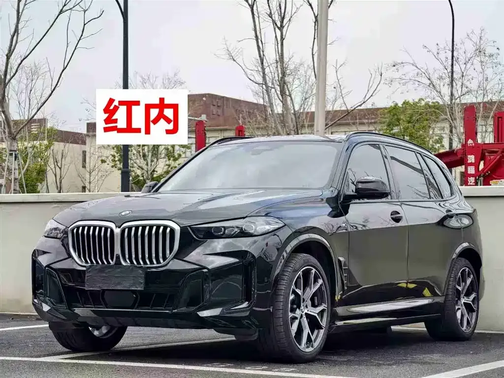 BMW X5 — фото 5