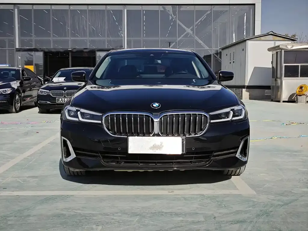 BMW 5 Series New Energy — фото 5