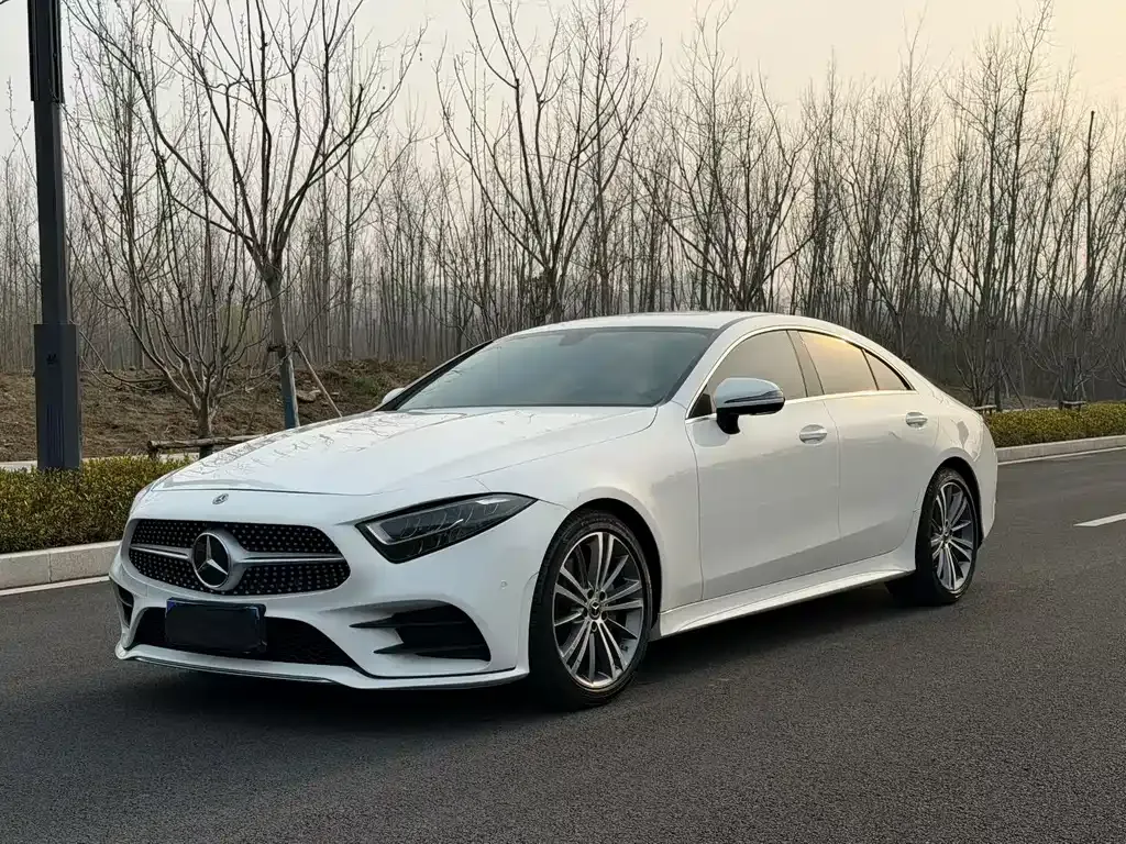 Mercedes-Benz CLS — фото 1